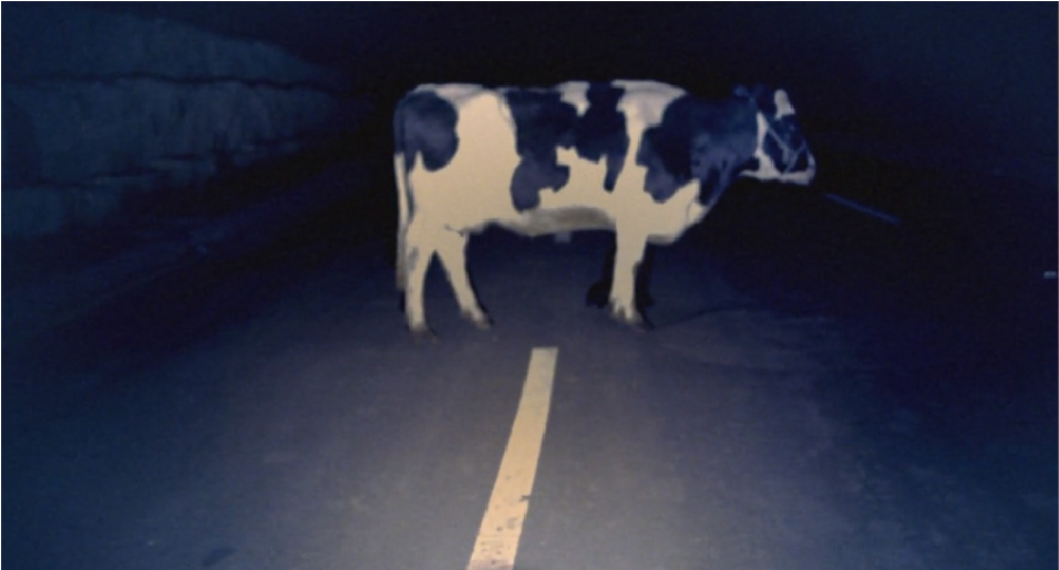 HARLEY DAVIDSON VACA